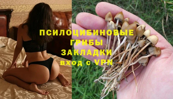 СК Заволжск