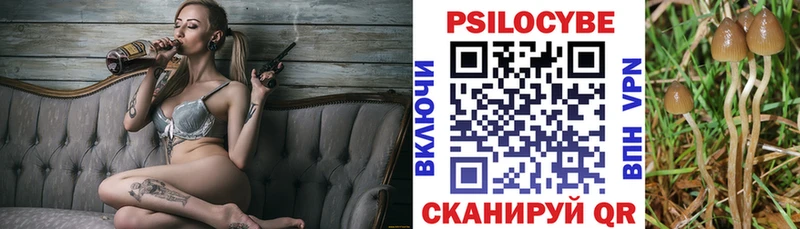 Галлюциногенные грибы Psilocybe  Купить  Среднеколымск 